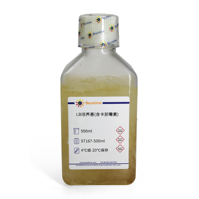 ST167-500ml LB培养基(含卡那霉素) 含50mg/L Kanamycin