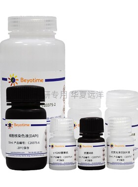 DNA损伤检测试剂盒γ-H2AX免疫荧光法100次 C2036S C2037S C2038S