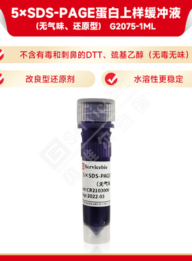 5xSDS-PAGE蛋白上样缓冲液loading buffer变性还原/非还原