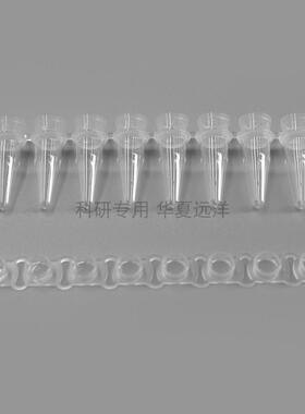 FTUB325 BeyoGold™ qPCR八联排管(0.2ml, 平盖, 透明)