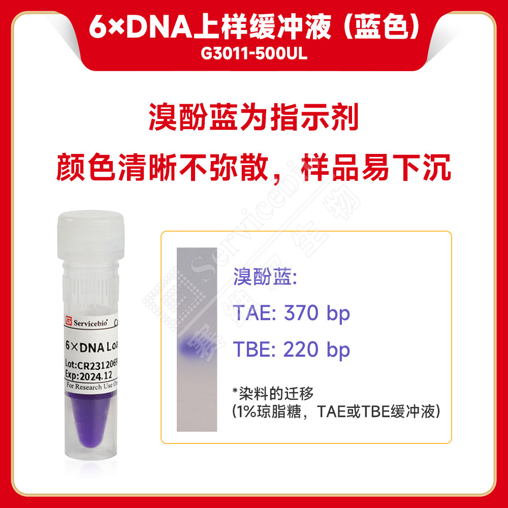 塞维尔 6× DNA Loading Buffer 6×DNA上样缓冲液（蓝色） - 实物图