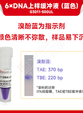 塞维尔 6× DNA Loading Buffer 6×DNA上样缓冲液（蓝色）