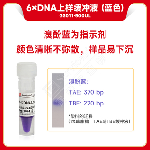 塞维尔 6× DNA Loading Buffer 6×DNA上样缓冲液（蓝色）