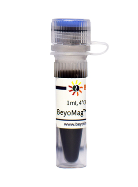 P2108  BeyoMag™ Protein A+G磁珠