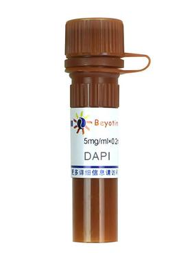 C1002-5mg/ml×0.2ml DAPI 碧云天生物