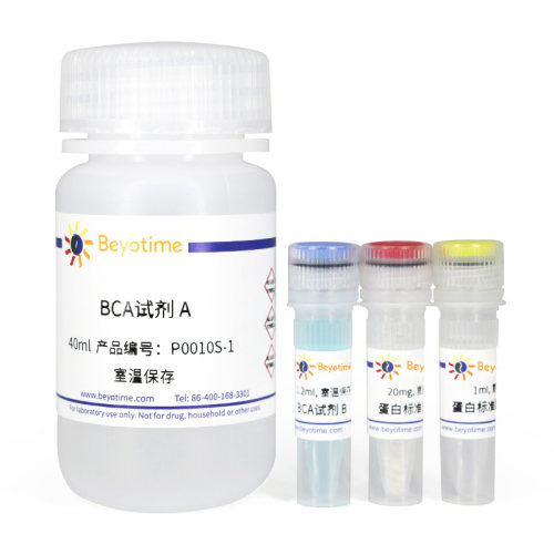 BCA蛋白浓度测定试剂盒(增强型) P0010S  P0010  P0009生物