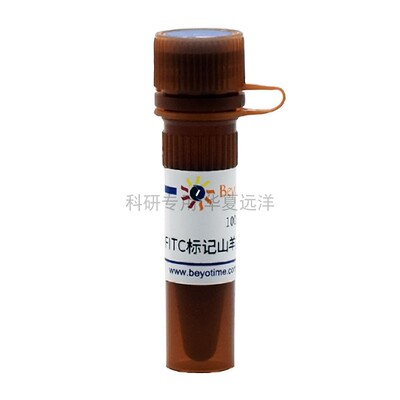 A0568-0.1ml FITC标记山羊抗小鼠IgG(H+L) 碧云天