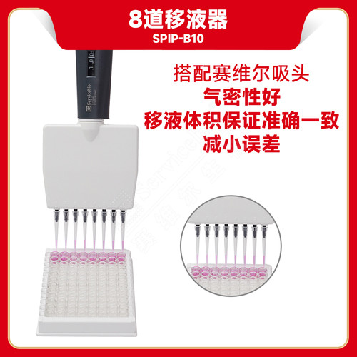 塞维尔八道移液器高精度移液