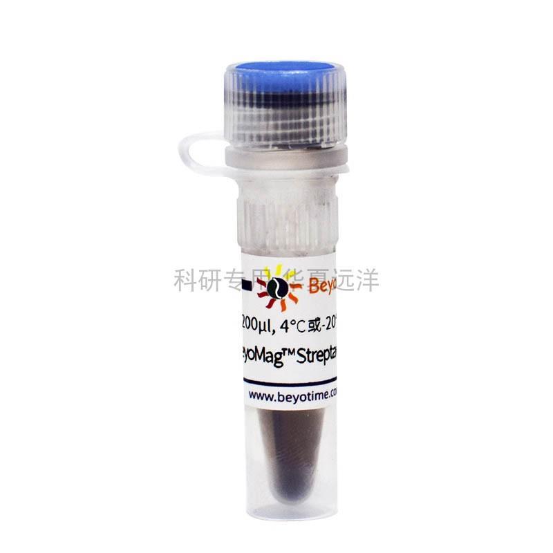 P2151-200μl BeyoMagStreptavidinMagneticBeads链霉亲和素磁珠