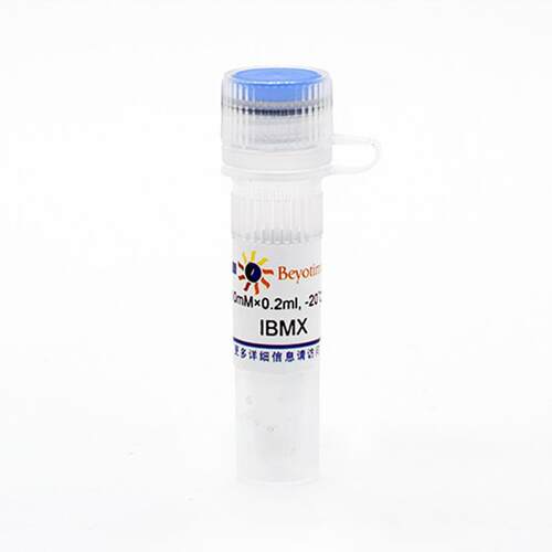 SC0195 IBMX (PDEs抑制剂) 碧云天生物