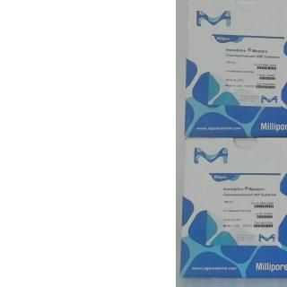 密离博millipore ECL发光液 100ml 500ml WBKLS0100 WBKLS0500