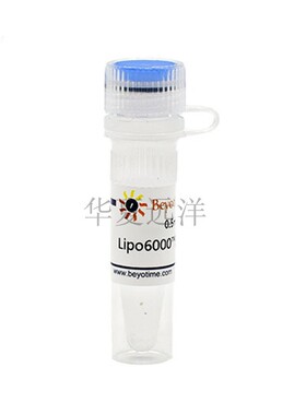 C0526-0.5ml Lipo6000™转染试剂