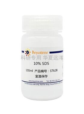 ST628-100ml 10% SDS 碧云天