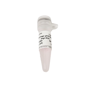塞维尔 service 2 × SYBR Green qPCR Master Mix (High ROX)