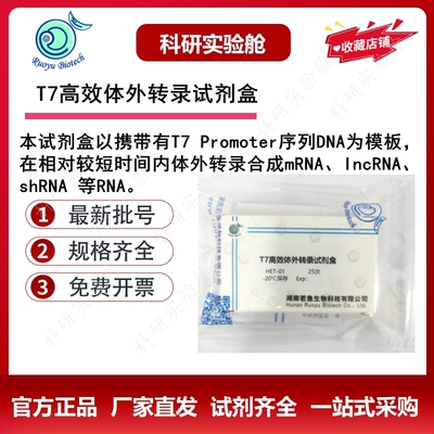 T7高效体外转录试剂盒