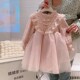 女童加厚加绒洋气公主裙2024韩版 秋冬装 女宝宝高端礼服网纱连衣裙