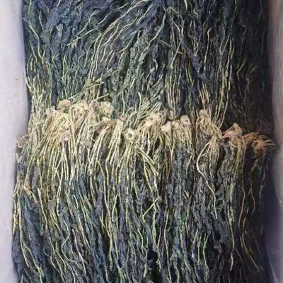 朝鲜族特色青萝卜叶萝卜缨子韩式脊骨酱汤用泡菜拌面炒肉特价包邮