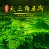 Товары от 爱信水族