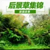 Товары от 爱信水族