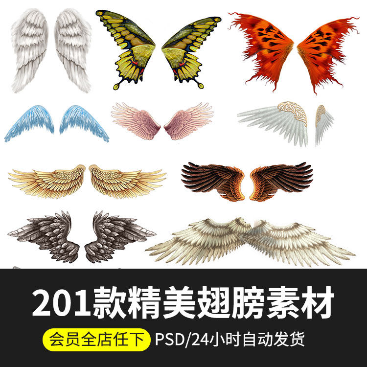 精美翅膀天使恶魔翅膀psd素材影楼后期摄影后期设计合成ps素材