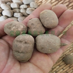 中药材野生三叶青整个金线吊葫芦500克干精选货 金丝吊葫芦 包邮