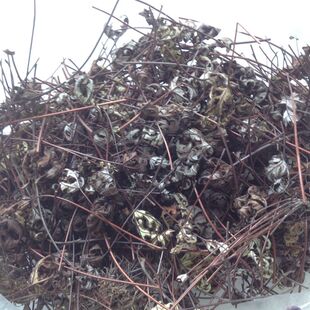 中药材 通经草500g包邮 金丝草 止惊草 铁骨草 分经草石崖铜丝草