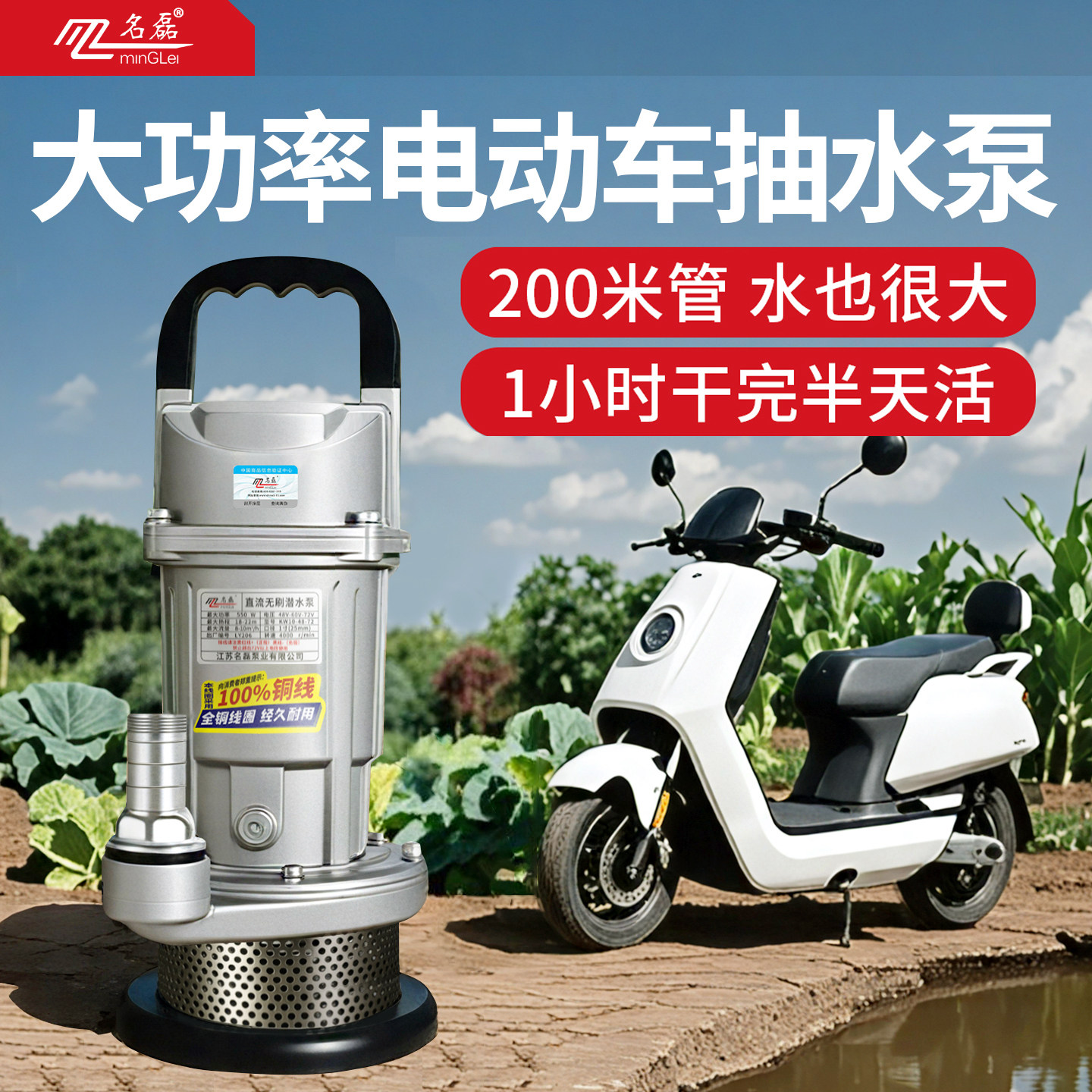 【热销新款】大功率电动车抽水泵