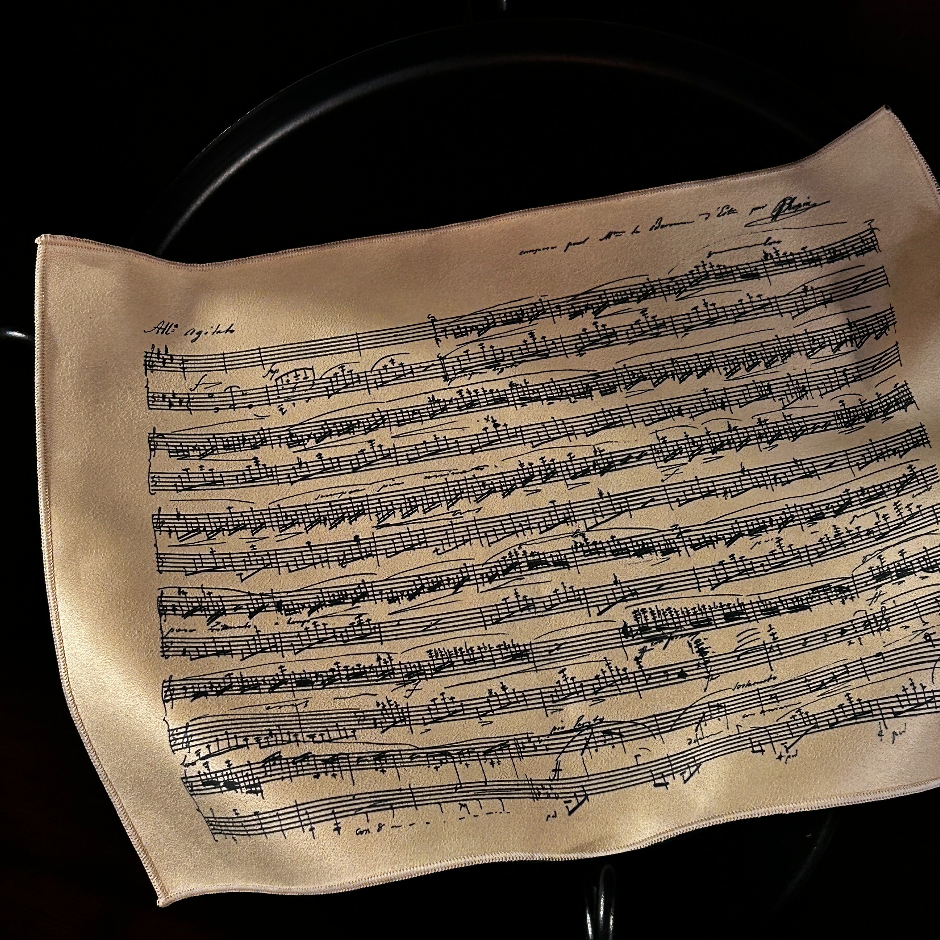 作曲家手稿琴布·肖邦 巴赫 帕格尼尼卡农钢琴竖琴小提琴乐器保养