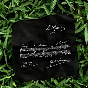 曲谱琴布·舒曼手稿乐谱钢琴小提琴音乐生乐器保养礼物