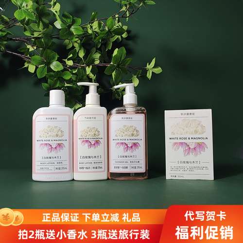 低至35元白玫瑰木兰气味图书馆