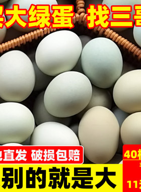 三哥40枚绿壳蛋高营养低胆固醇