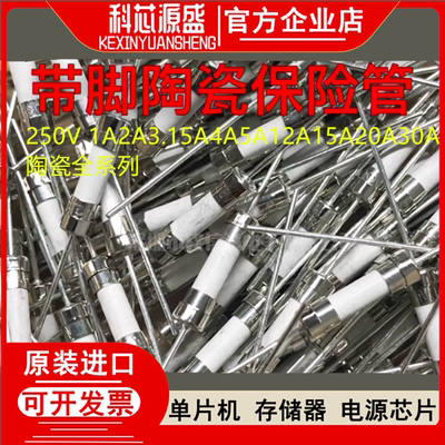 5x20mm陶瓷双帽保险丝管引线脚1A