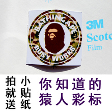 Autocollant pour vélo - Ref 2279858 Image 18