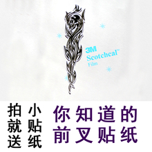 Autocollant pour vélo - Ref 2279858 Image 15