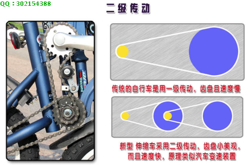 Pignon de vélo FITQ  - Ref 2362711 Image 1