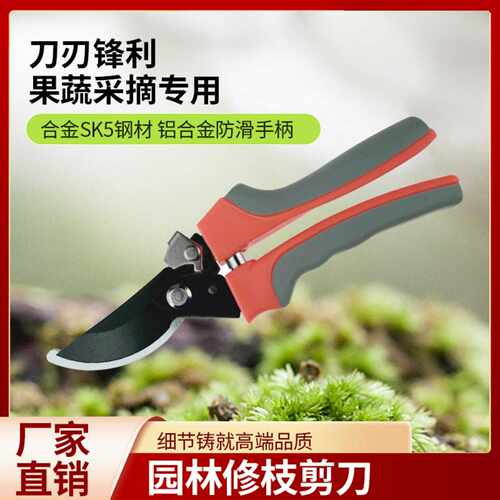 剪树枝专用剪刀修枝剪果树修枝