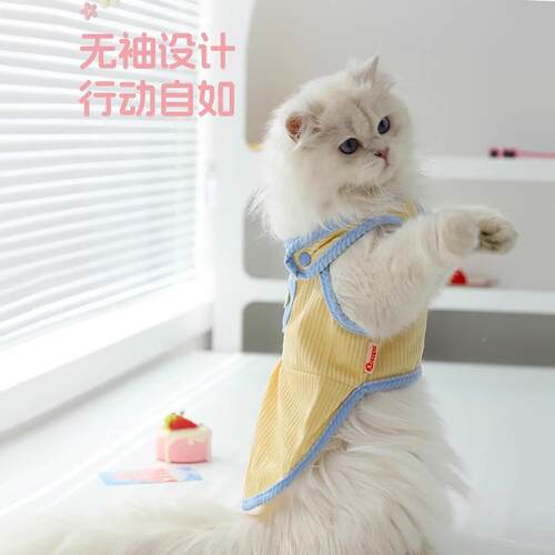 猫咪衣服物猫夏季裙小猫子防掉毛小迪狗泰比熊狗狗幼猫宠薄款24Y0