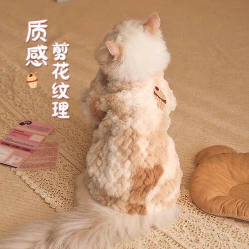 咪衣服冬季猫保暖宠猫物131小猫布偶英银渐层猫马甲幼猫冬天短秋