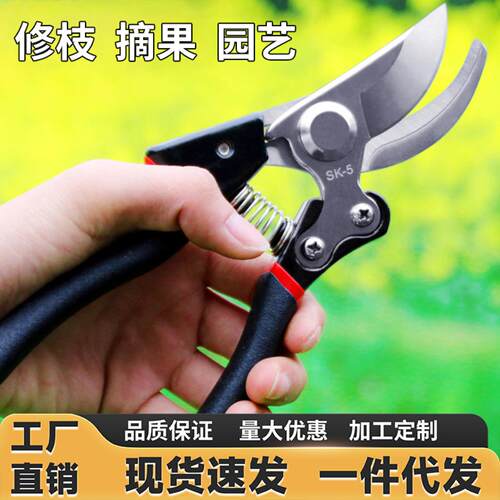 修枝剪园艺剪刀园林修剪果树修枝