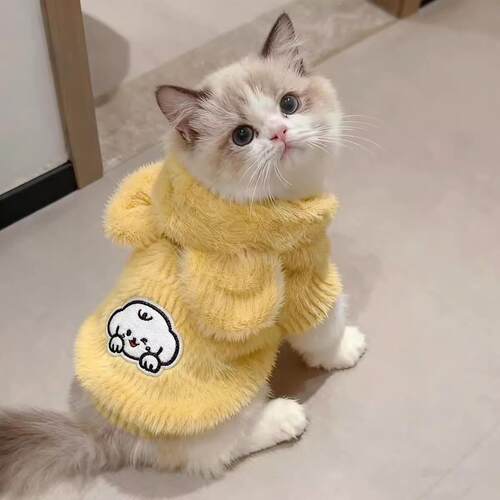 冬加厚猫咪衣秋季冬6875装加绒保暖连猫帽卫衣布偶小猫服银渐层幼