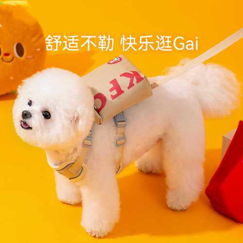 宠物狗狗自背包牵引绳泰迪外出防