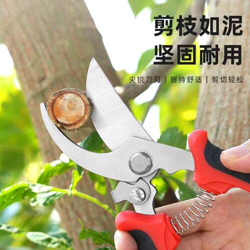 果树修枝剪树枝园艺剪刀专用花艺