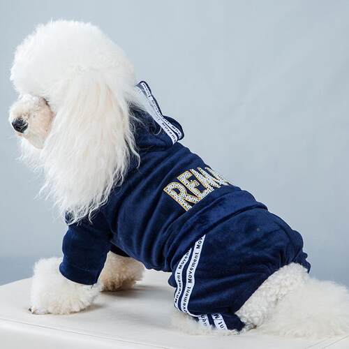 宠物衣A116服春款金丝四脚狗卫狗小衣运动户外泰迪比熊型犬宠物衣