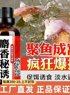 春江麝香秘诱果酸丁香钓鱼小药