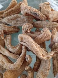 正宗陕西汉中天麻500克农家自产天麻仿野生种植林下天麻大个头