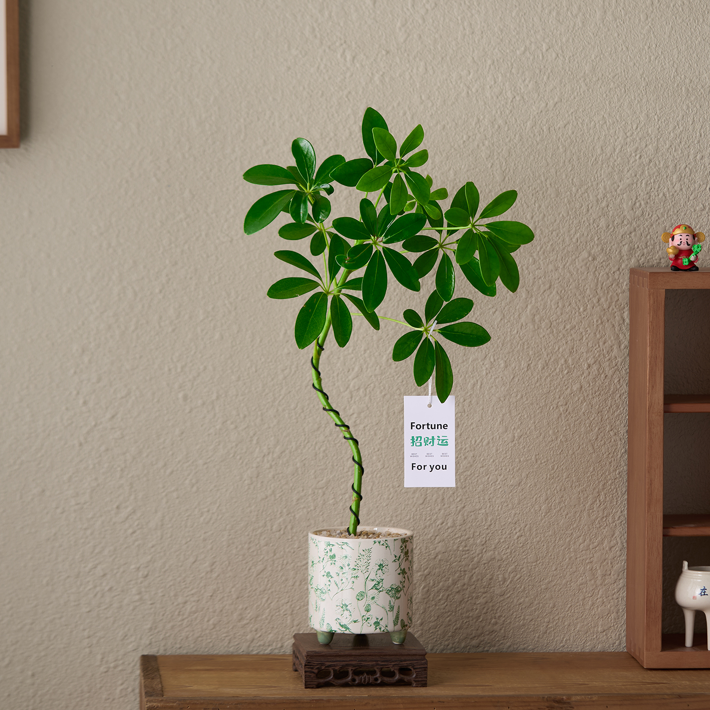 造型鸭脚木盆栽中式招财植物净化空气办公室内桌面绿植客厅摆件