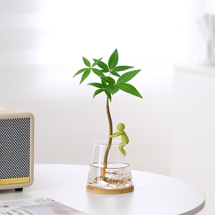 发财树水培盆栽客厅书房桌面办公室内四季懒人好养绿植招财树盆景