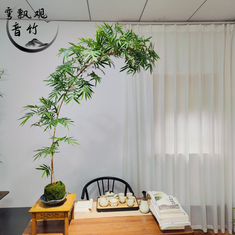 红观音竹弯飘造型有意境感竹子室内绿植盆栽造景客办公室桌面摆件