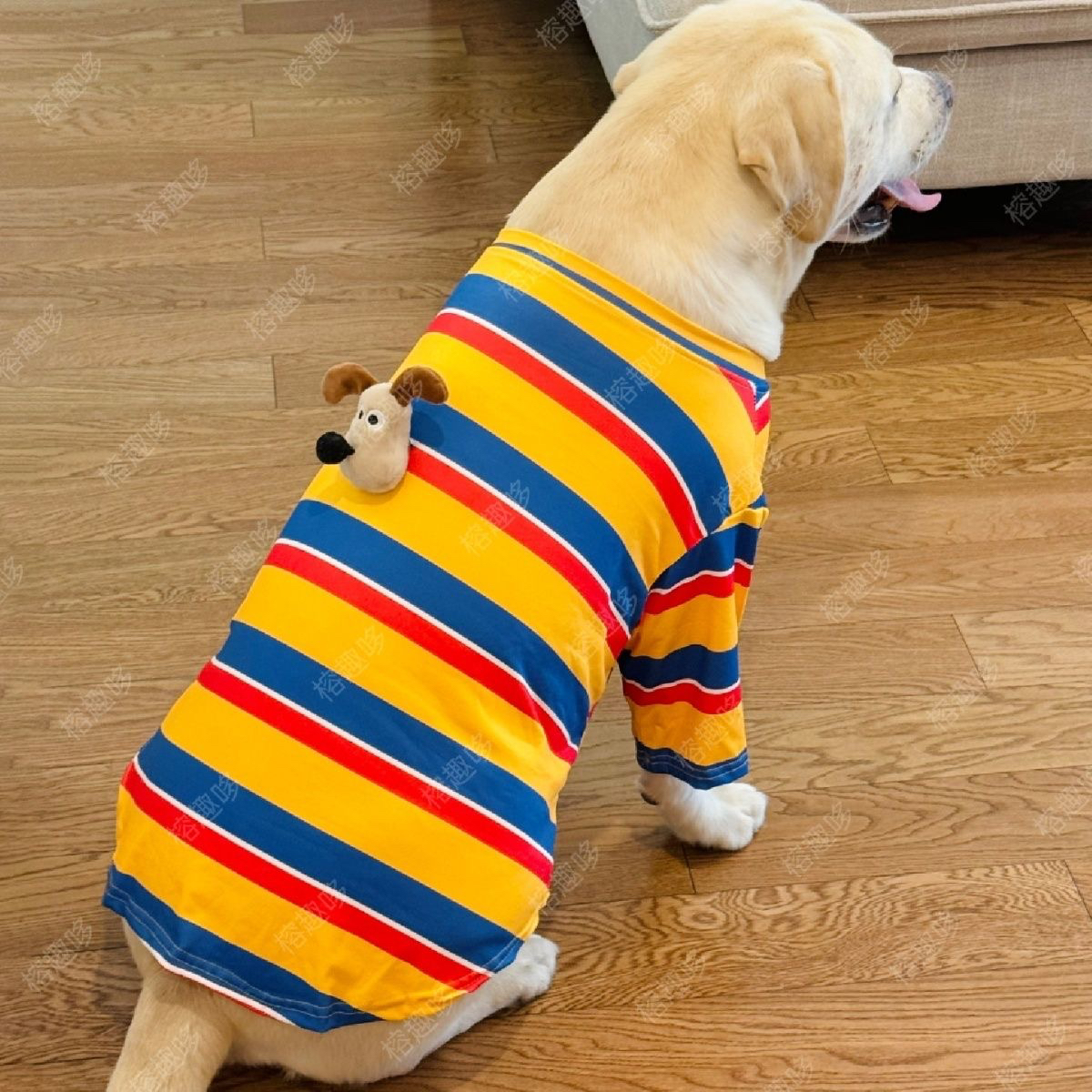 宠物狗狗秋冬薄款中大型犬拉布拉多金毛萨摩耶大狗加绒衣服防掉毛