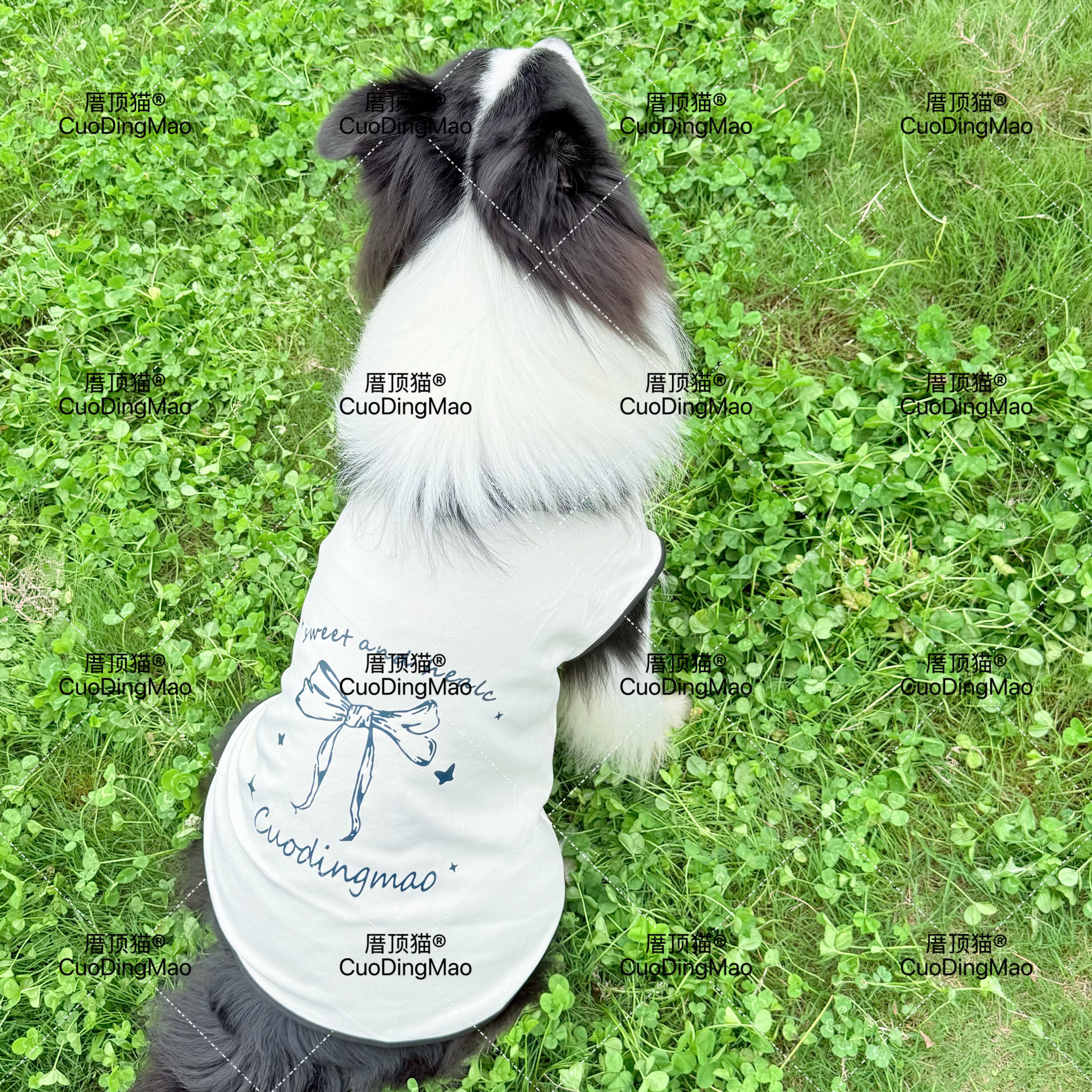 宠物大狗秋冬德绒保暖可爱卡通背心拉布拉多金毛边牧中大型犬衣服